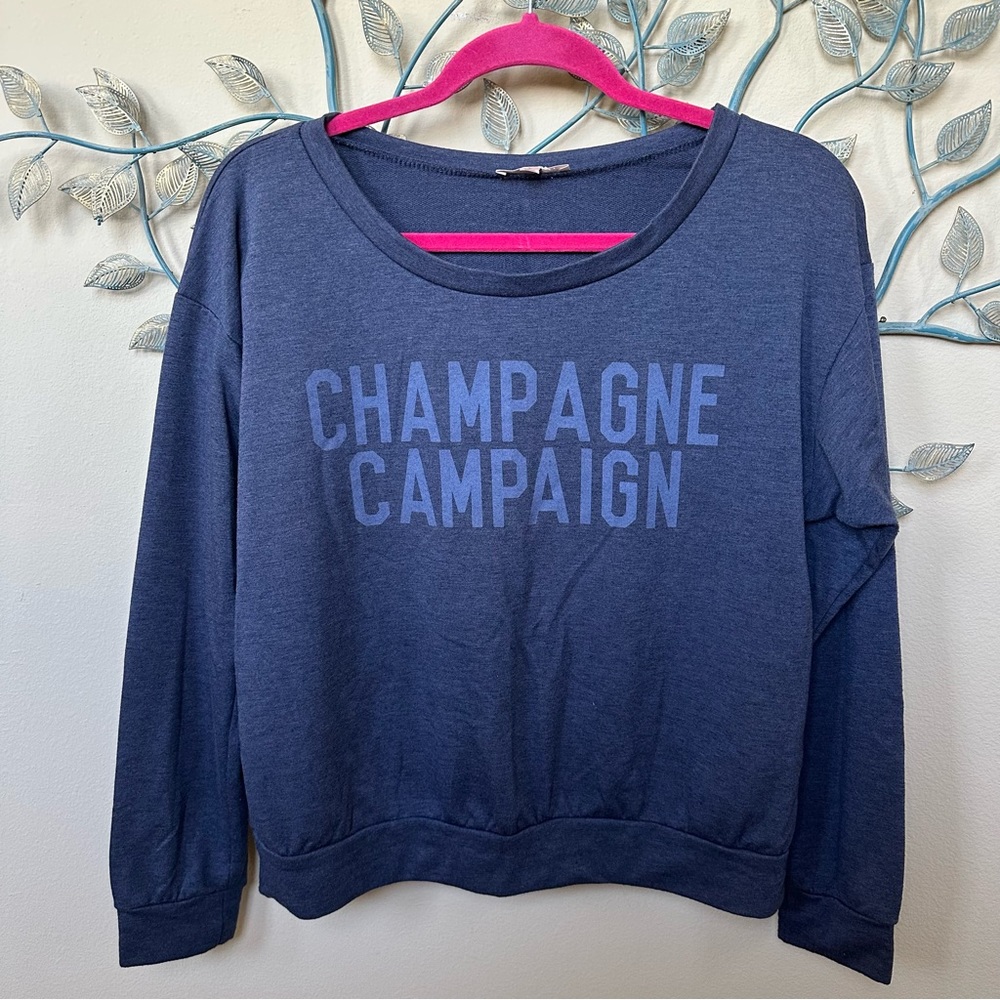 wish&whim “Champagne Campaign” blue sweatshirt Sz L